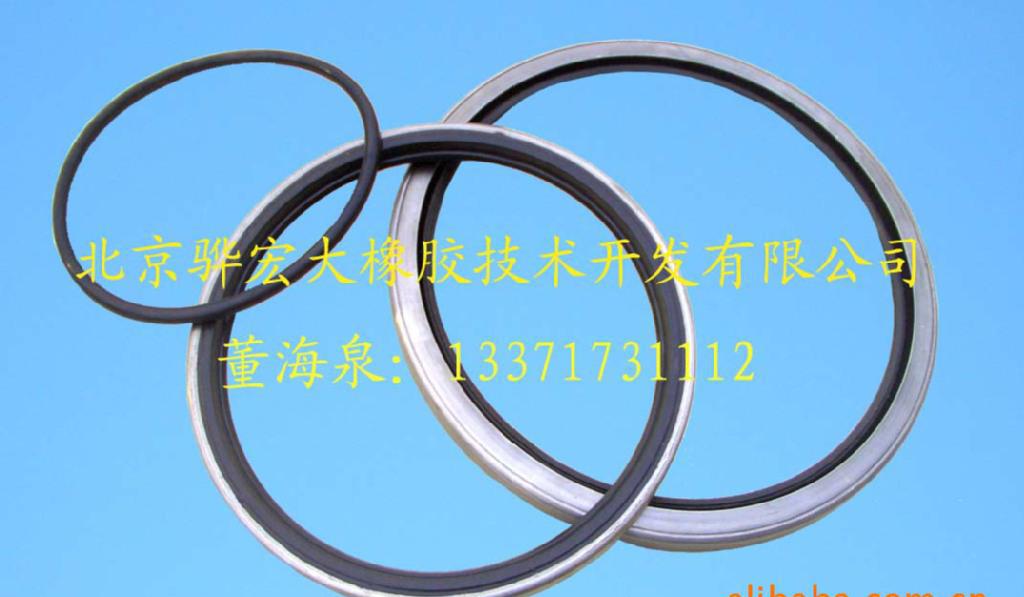 中速磨煤機磨輥總成骨架油封