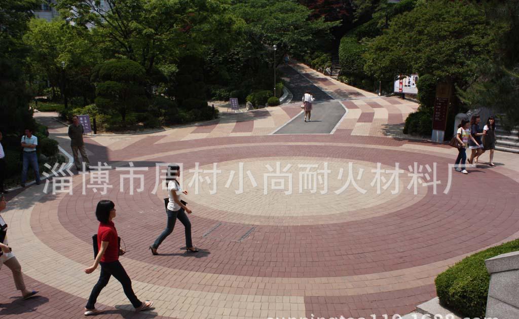 廣場(chǎng)磚/景觀磚/鋪路磚/燒結(jié)磚/植草磚/路面磚