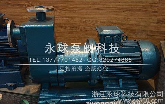 不銹鋼耐腐蝕磁力泵，自吸式磁力泵， 防爆型磁力泵 ZCQ25-20-115