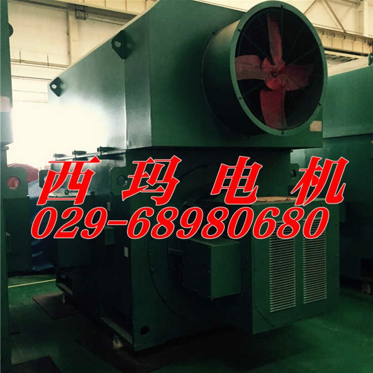 西瑪電機集團1800KW 6KV大型變頻電機供應商