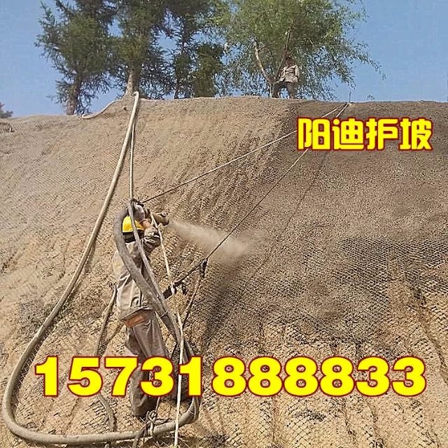 十堰客土噴播，武漢邊坡綠化，湖北山體錨噴，黃石掛網噴漿，荊州混凝土噴漿，陽迪公司